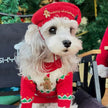 Gingerbread Christmas Dog Sweater – Holiday Knit Winter Outfit for Dogs