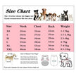 Dog Jacket | Heart Accent Dog Coat