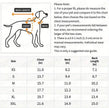 Lenny Dog Shirt | Dog Button Shirt for Dogs