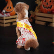 Do Not Enter Dog Costume | Halloween Dog Costume