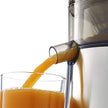 OMEGA High Speed Juicer with Extra Large Chute - Black - C2100B