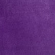 Shannon Fabrics - Cuddle - Amethyst Cuddle Solid 90in Wide
