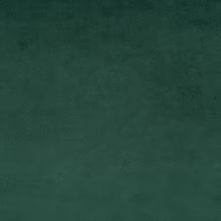 Shannon Fabrics - Cuddle - Evergreen Solid Cuddle  -  90 inches X 1/2 metre