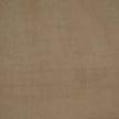 Shannon Fabrics - Cuddle - Simply Taupe Cuddle Solid 90in Wide