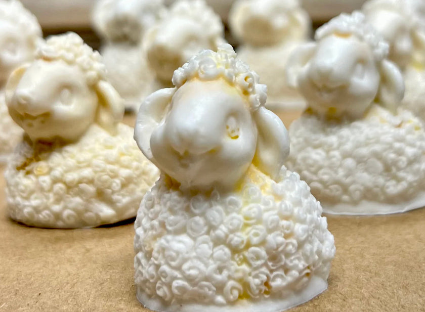 Savon en Forme de Mouton 20g 🧼🐑
