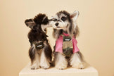 Fall Dog Vest | Dog Vest for Cool Weather