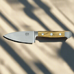 ALPHA OLIVE |  Hard Cheese Knife 4
