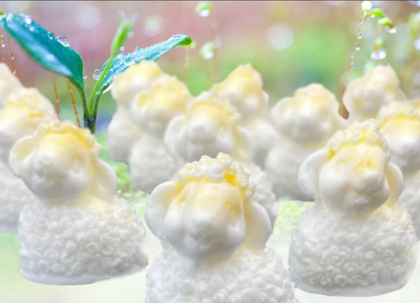 Savon en Forme de Mouton 20g 🧼🐑