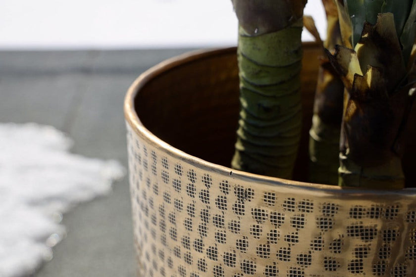 Bertooo - Brass Mid-Century Planter
