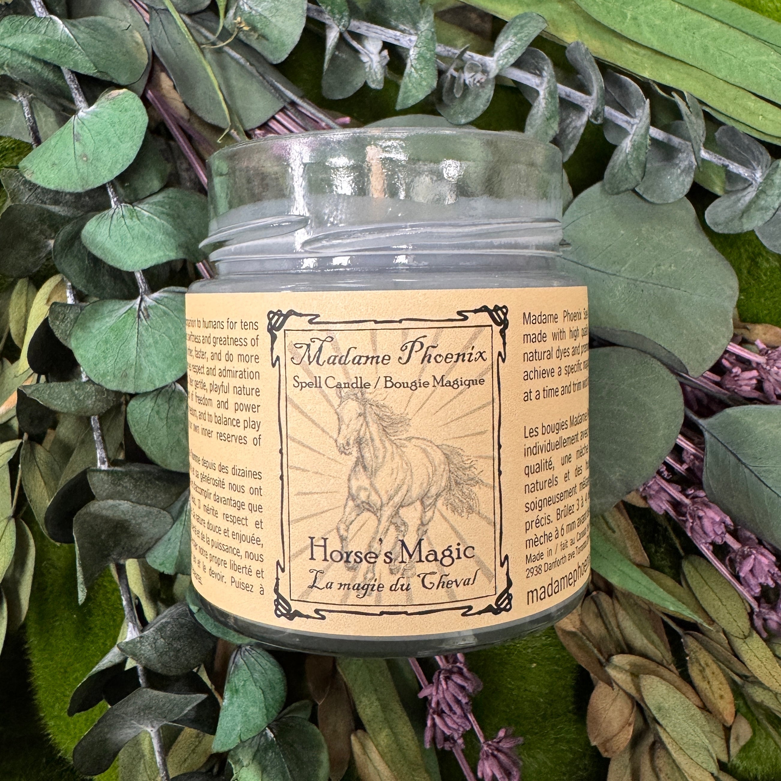 Animal Magic Familiar Spirit Blessing Candles