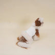 Tina Dress for Dogs – Elegant Tutu Dog Dress