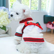 Holiday Gift Box Dog Sweater | Christmas Dog Knitwear