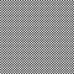 Riley Blake - Check Please - 1/4in Check Black