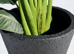 Vaneto Black Cement Planter (Multiple Sizes)