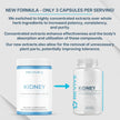 Revive Kidney