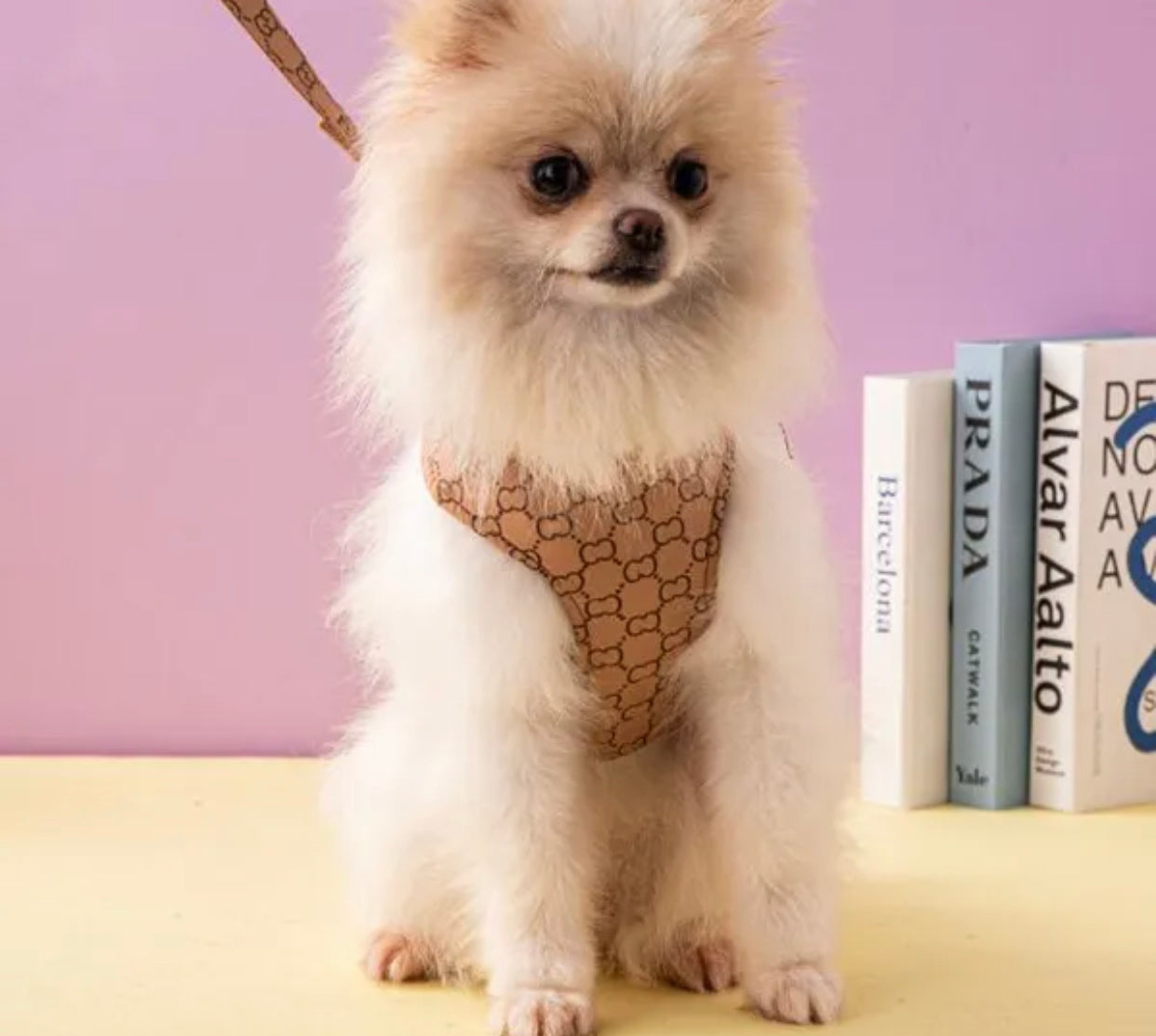 Gigi Dog Harness and Leash Set | Dog Walking Outfit