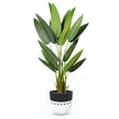 Cairo Cement Planter (Multiple Sizes)