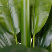 Cali Artificial Banana Tree Potted Plant 43