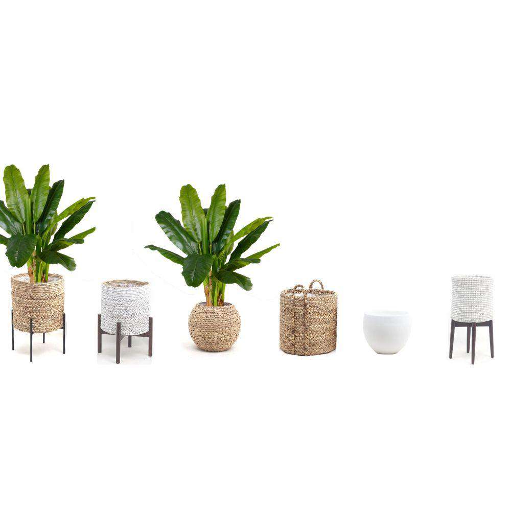 Cali Artificial Banana Tree Potted Plant 43