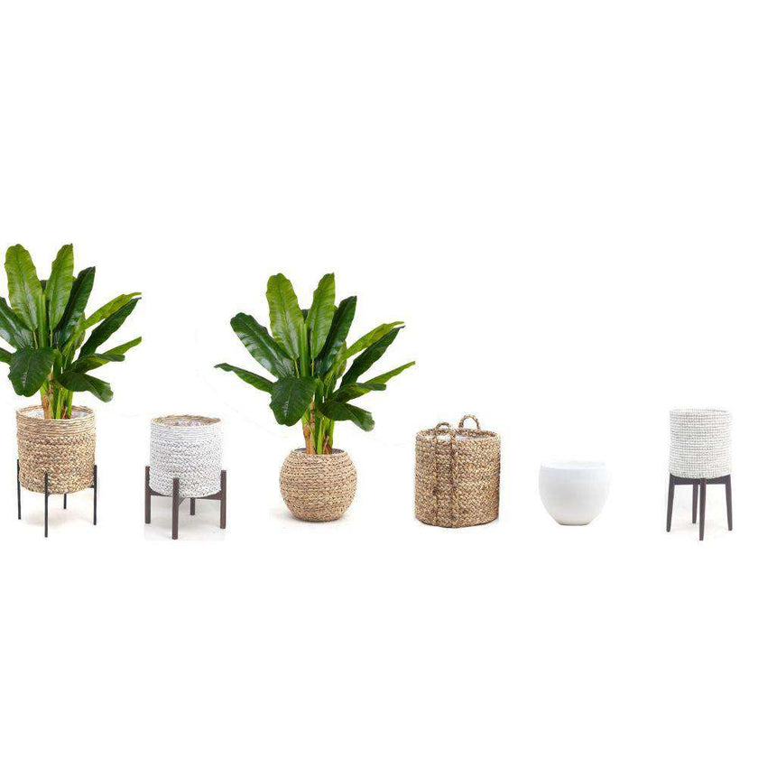 Cali Artificial Banana Tree Potted Plant 43