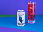 Fin Soda - Haskap Berry / Balsam Fir