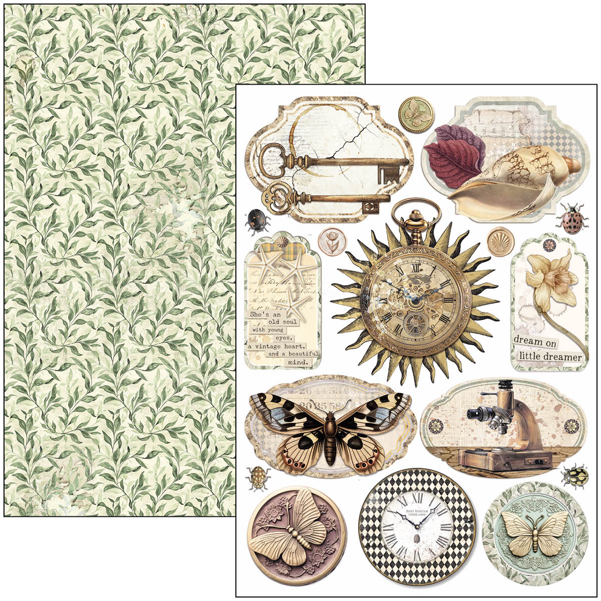 Cabinet Of Curiosities Creative Pad A4 9/Pkg