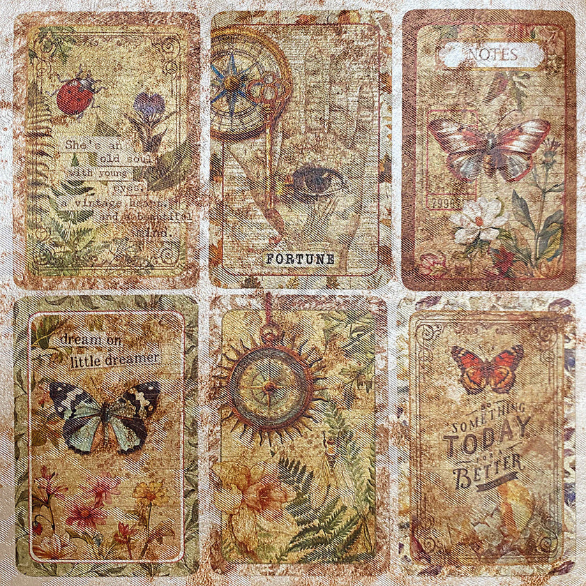 Deluxe Cabinet Of Curiosities Paper Pearl-Copper  6