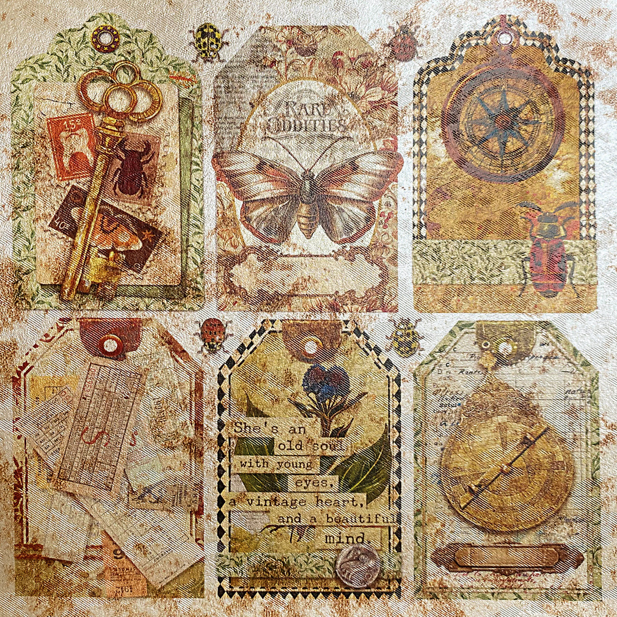 Deluxe Cabinet Of Curiosities Paper Pearl-Copper  6