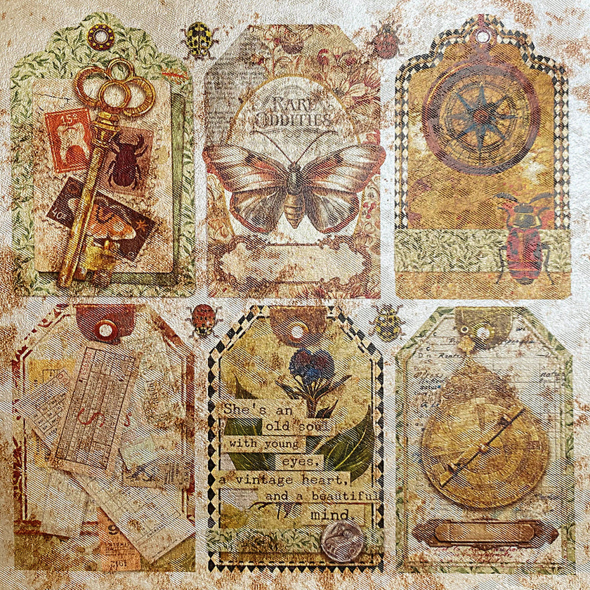 Deluxe Cabinet Of Curiosities Paper Pearl-Copper  6