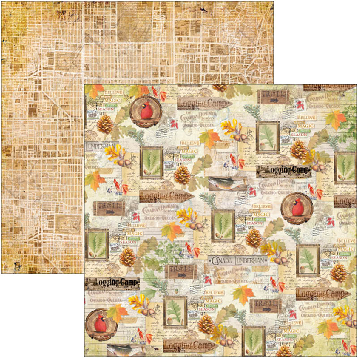 Ciao Bella Into The Wild Paper Pad 8