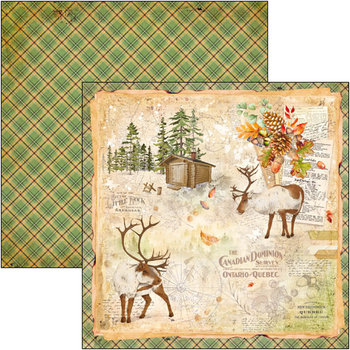 Ciao Bella Into The Wild Paper Pad 8