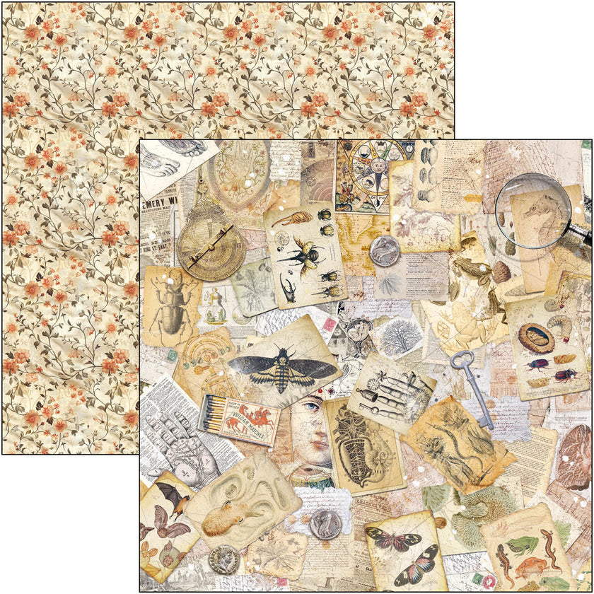 Cabinet Of Curiosities Pad 8