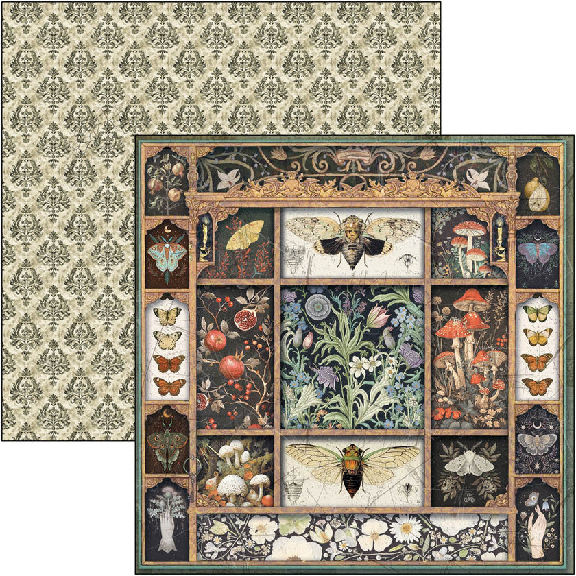 Cabinet Of Curiosities Pad 8