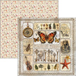 Cabinet Of Curiosities Pad 8
