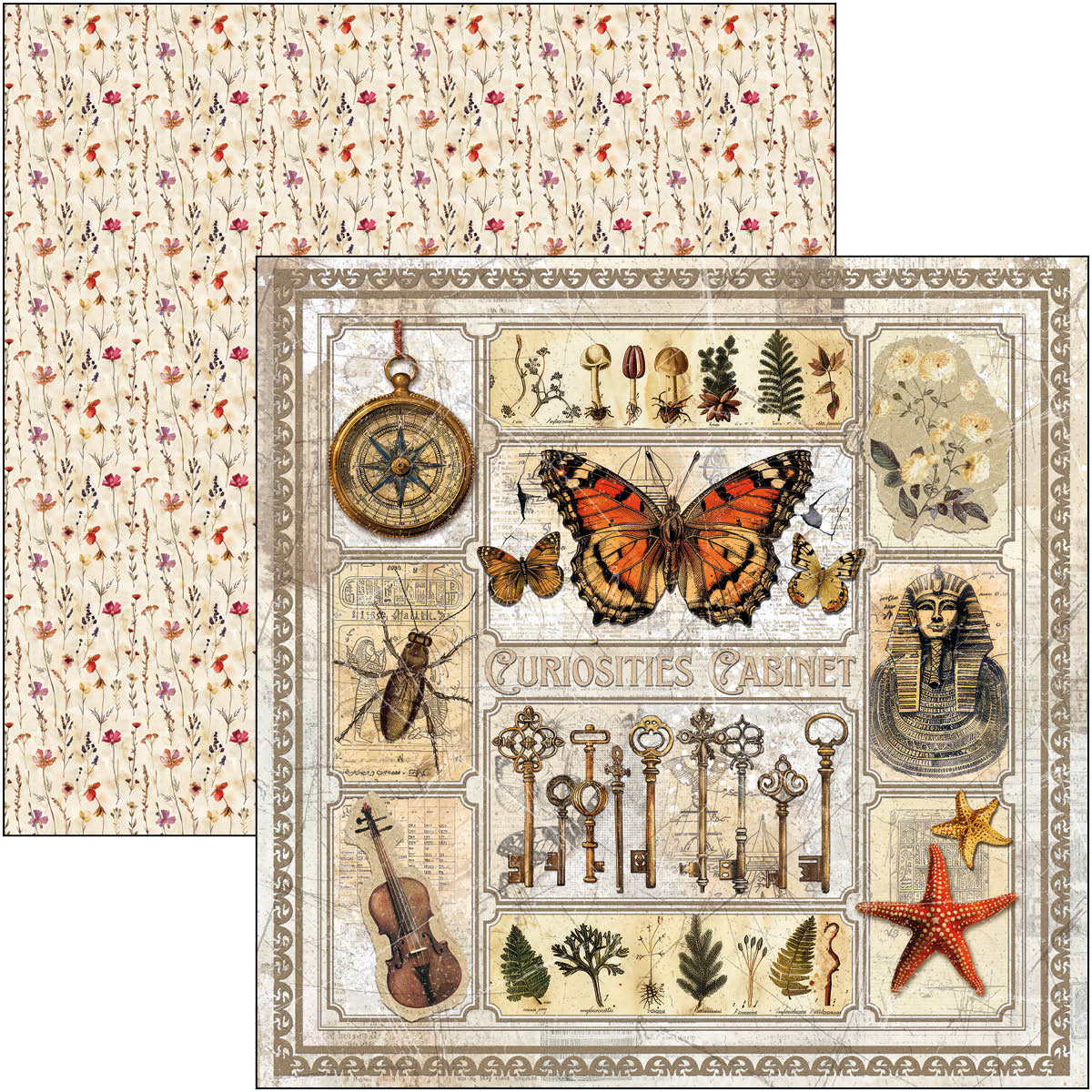 Cabinet Of Curiosities Pad 8