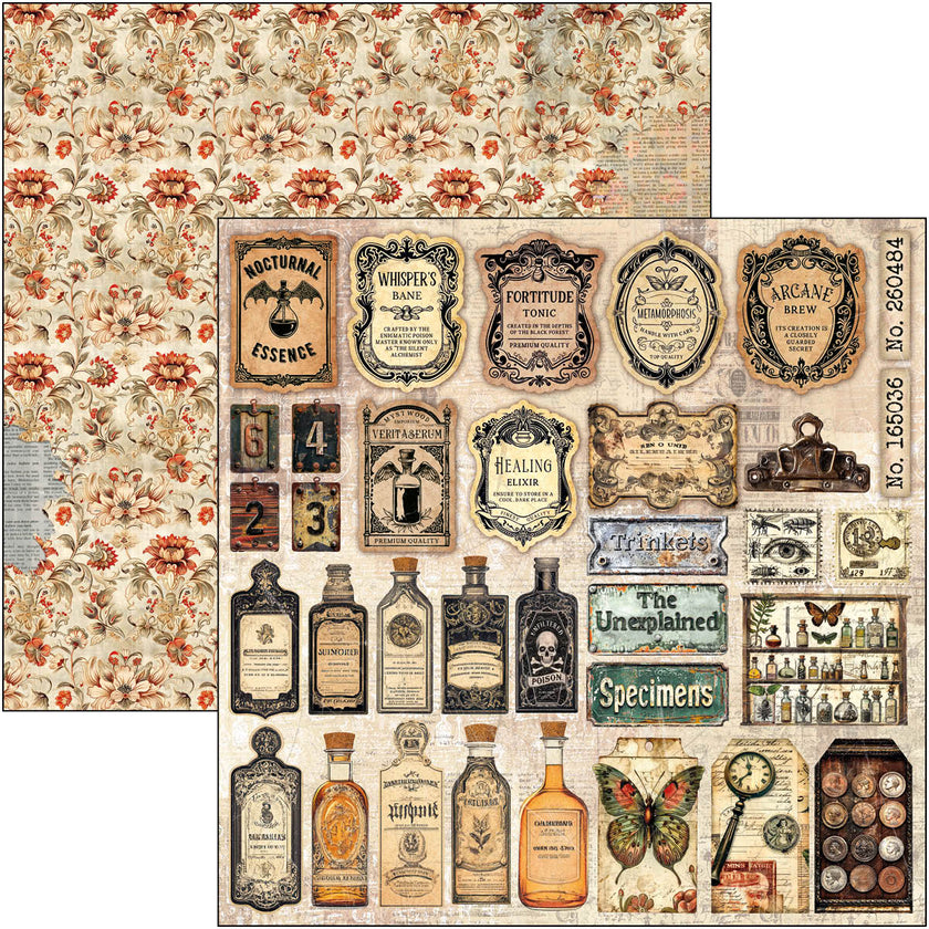 Cabinet Of Curiosities Pad 8