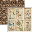 Cabinet Of Curiosities Pad 8
