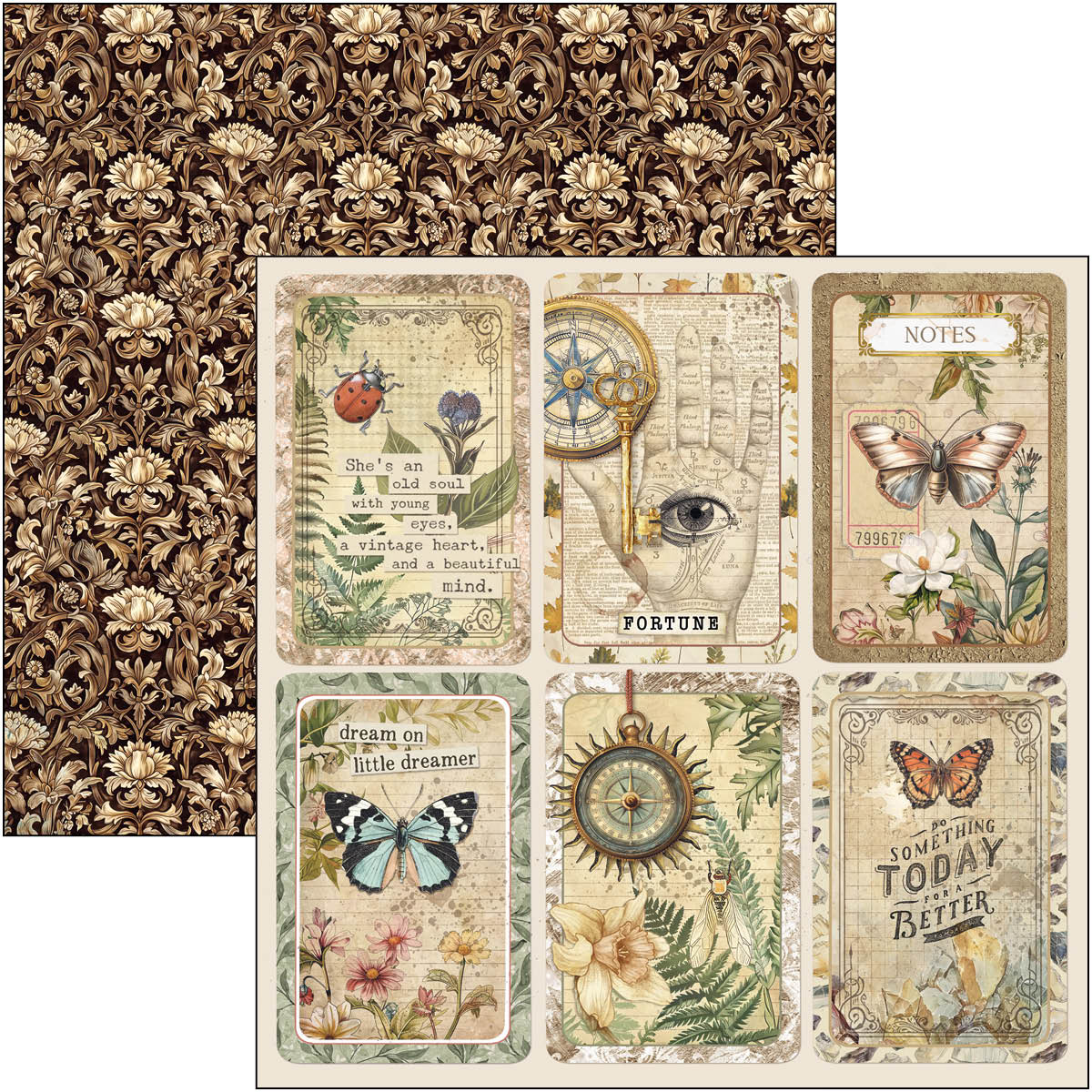 Cabinet Of Curiosities Pad 8