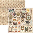 Cabinet Of Curiosities Pad 8