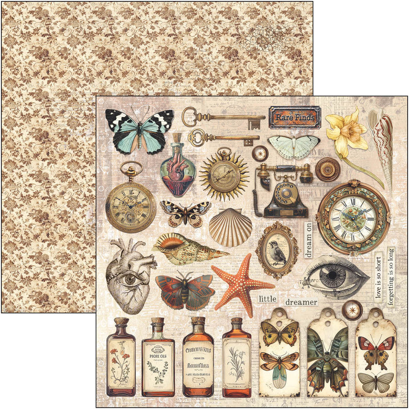 Cabinet Of Curiosities Pad 8