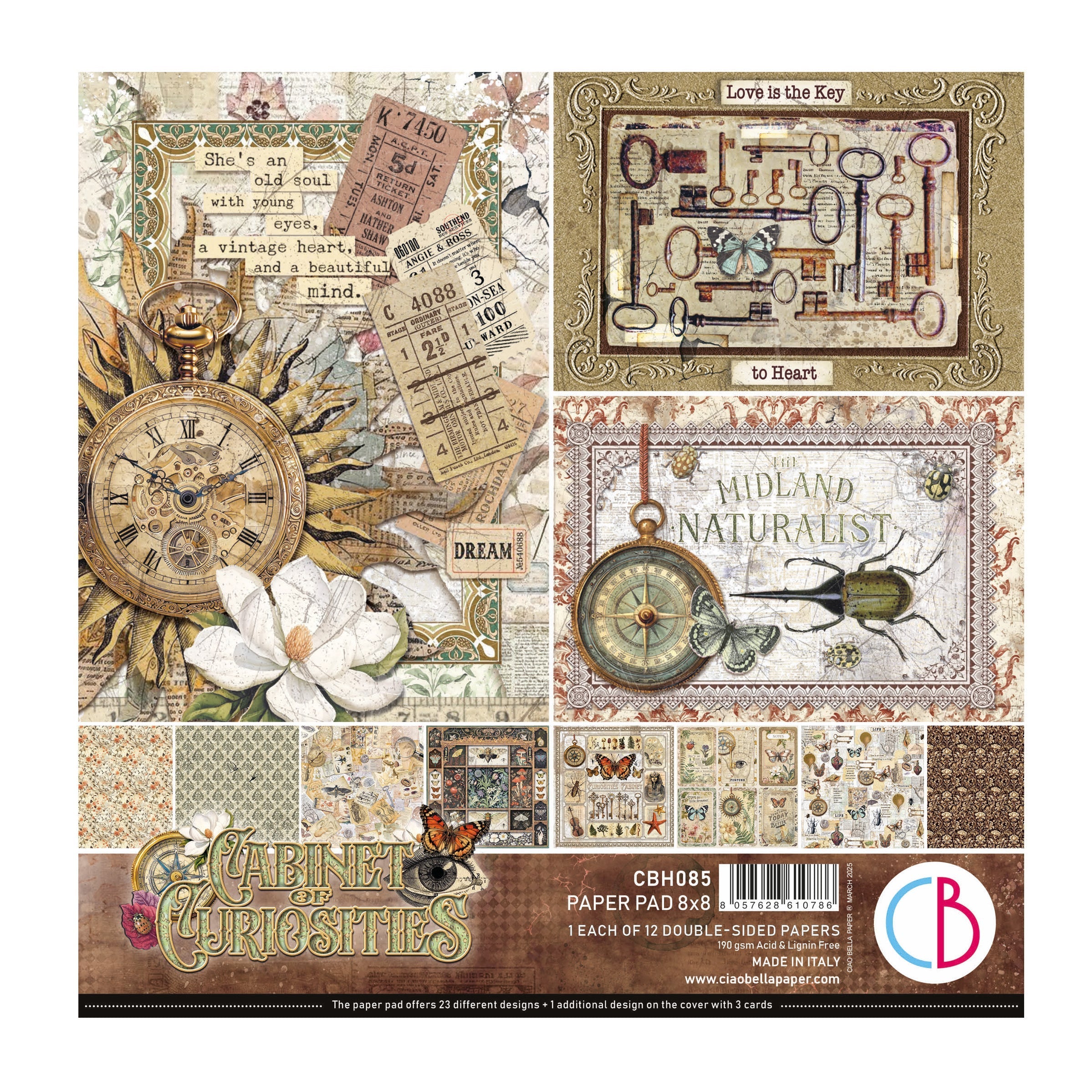 Cabinet Of Curiosities Pad 8