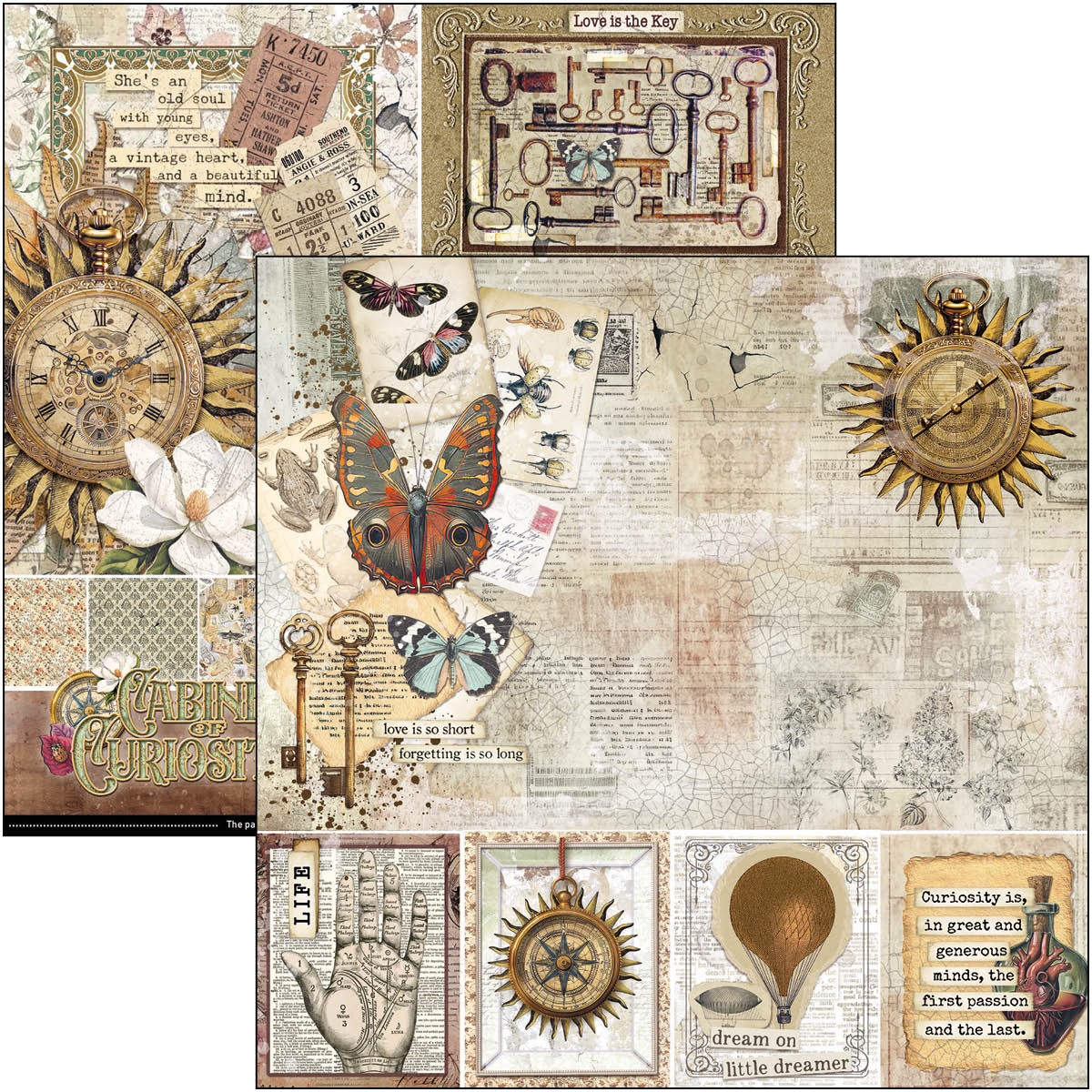 Cabinet Of Curiosities Pad 8