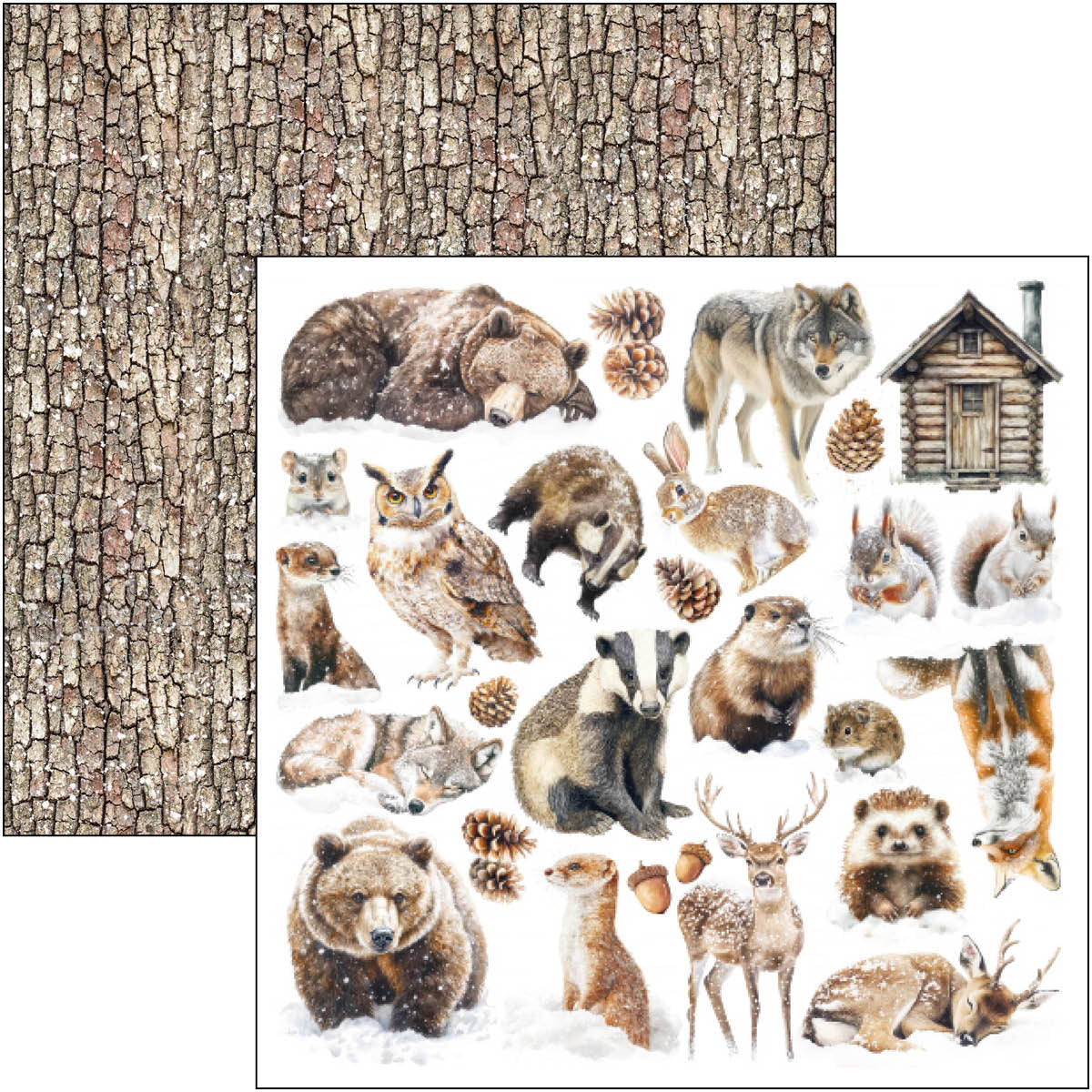 Forest Tales Pad 8