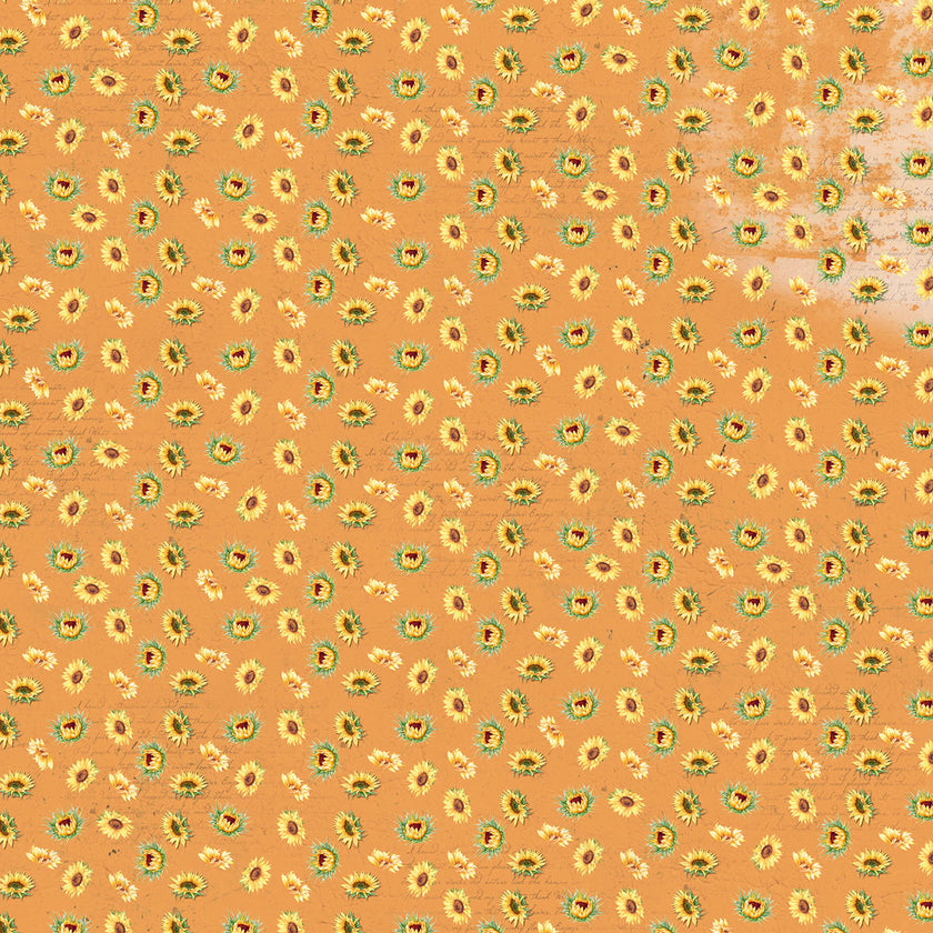 Ciao Bella Farmhouse Garden Paper Pad 12
