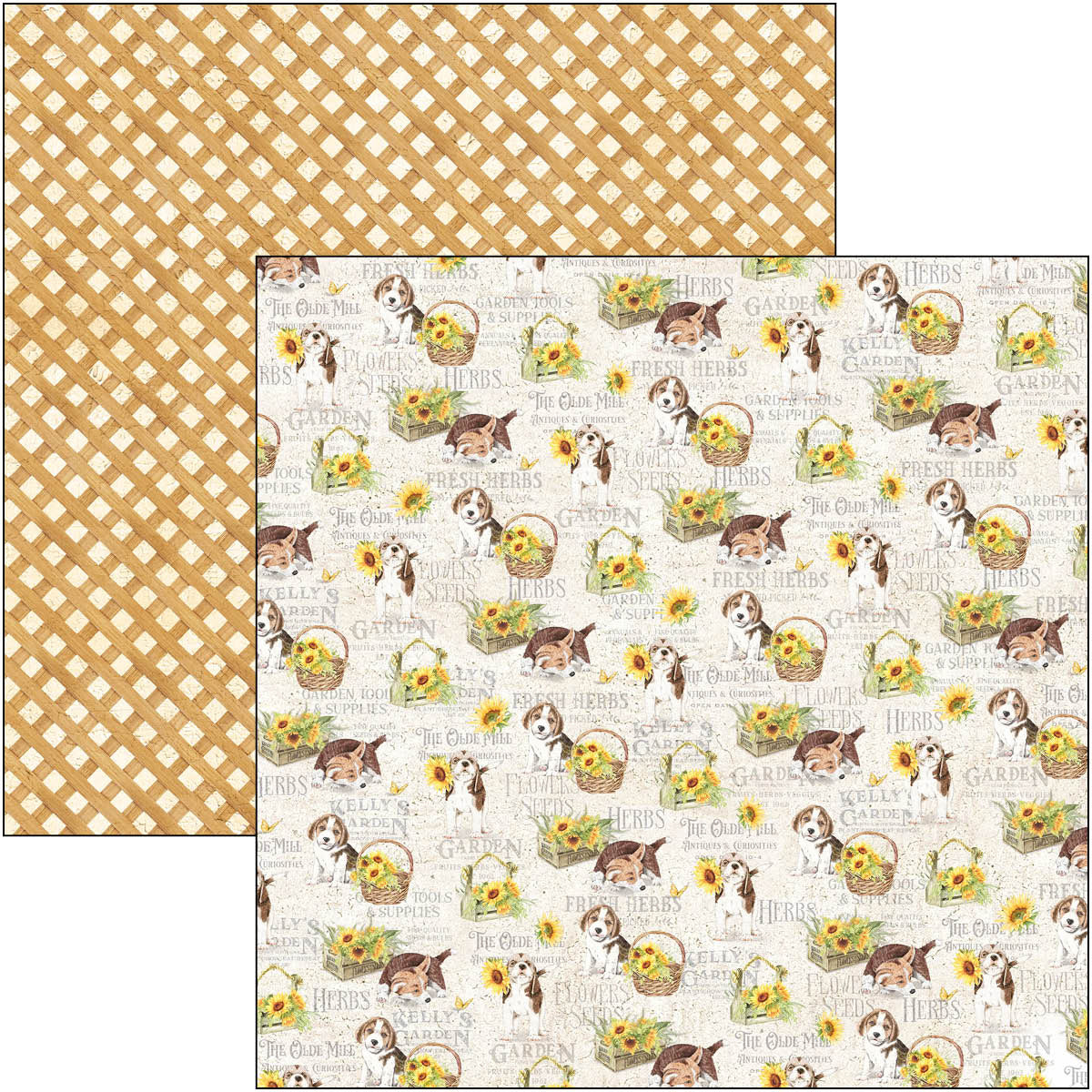 Ciao Bella Farmhouse Garden Paper Pad 12