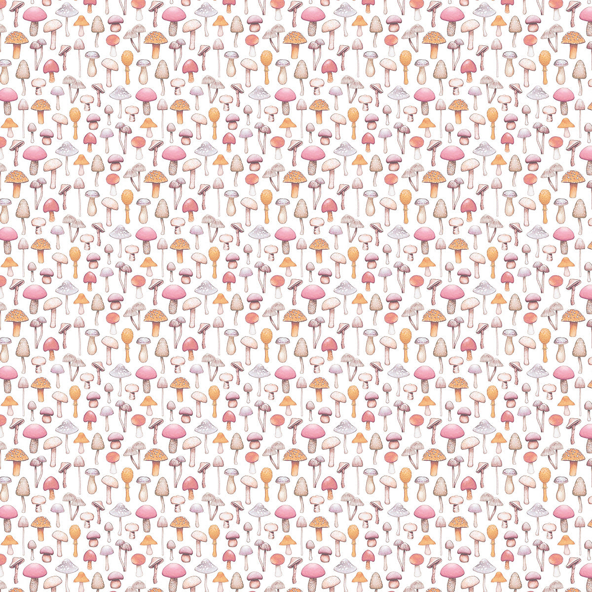 Ciao Bella Enchanted Land Paper Pad 12