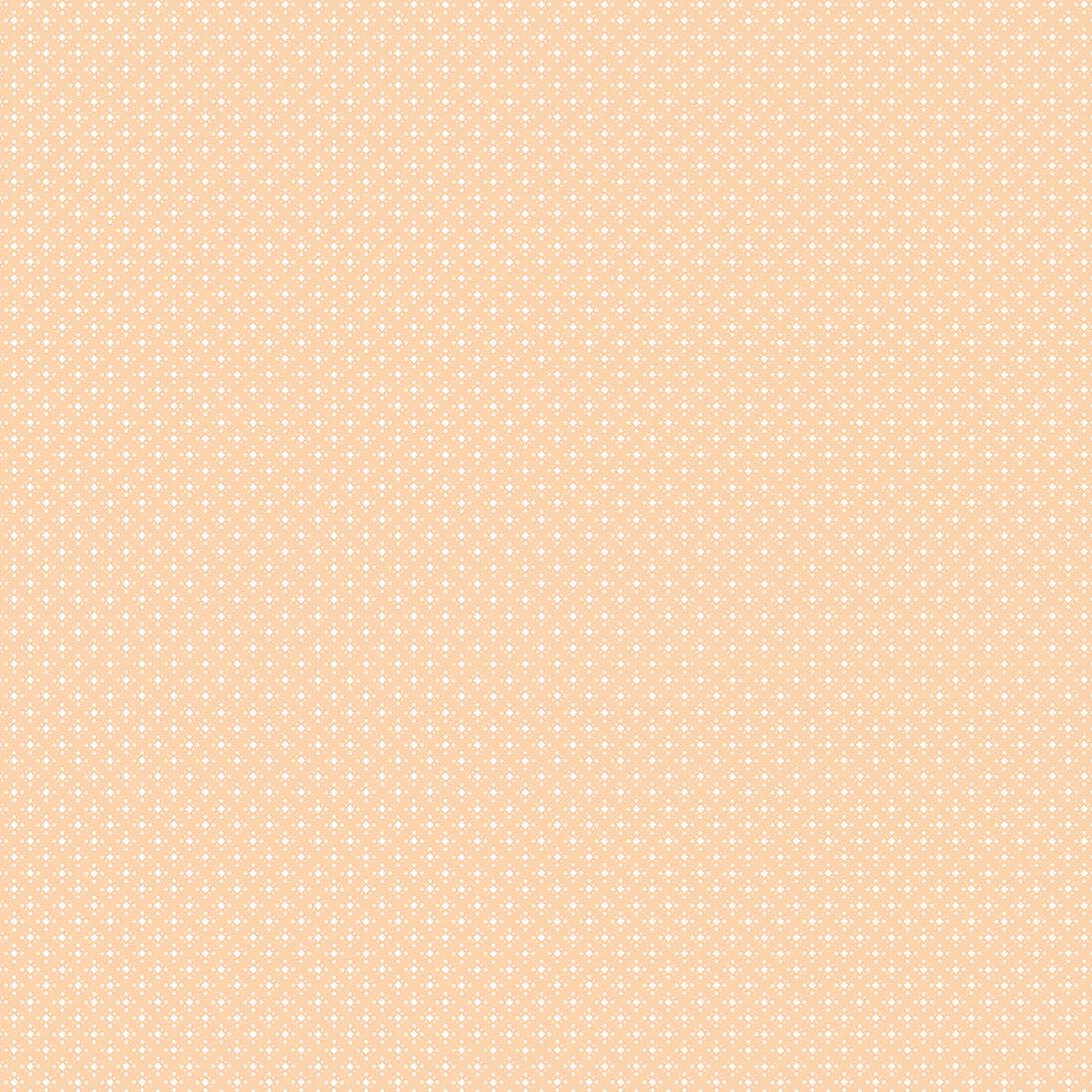 Ciao Bella Enchanted Land Paper Pad 12
