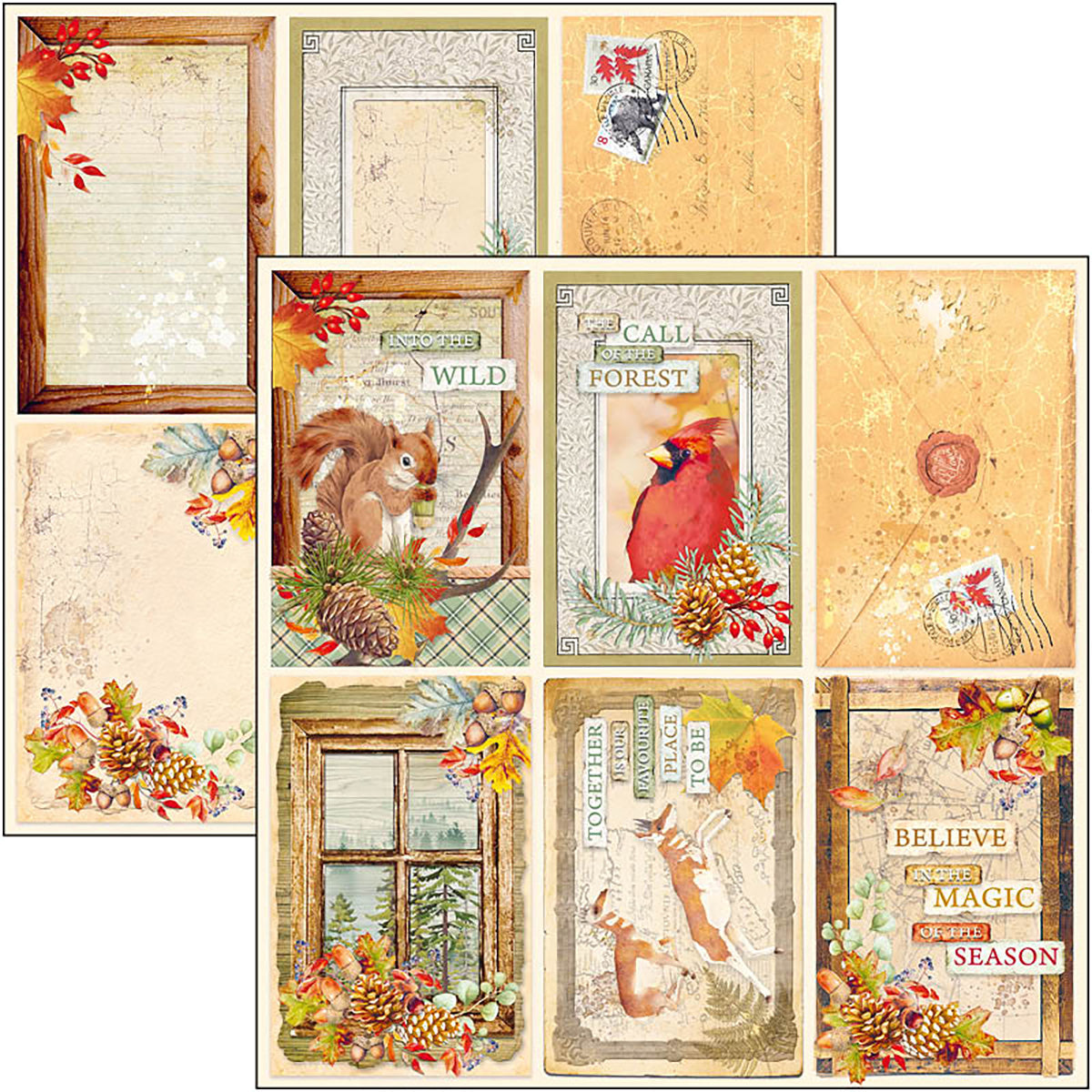 Ciao Bella Into The Wild Paper Pad 12