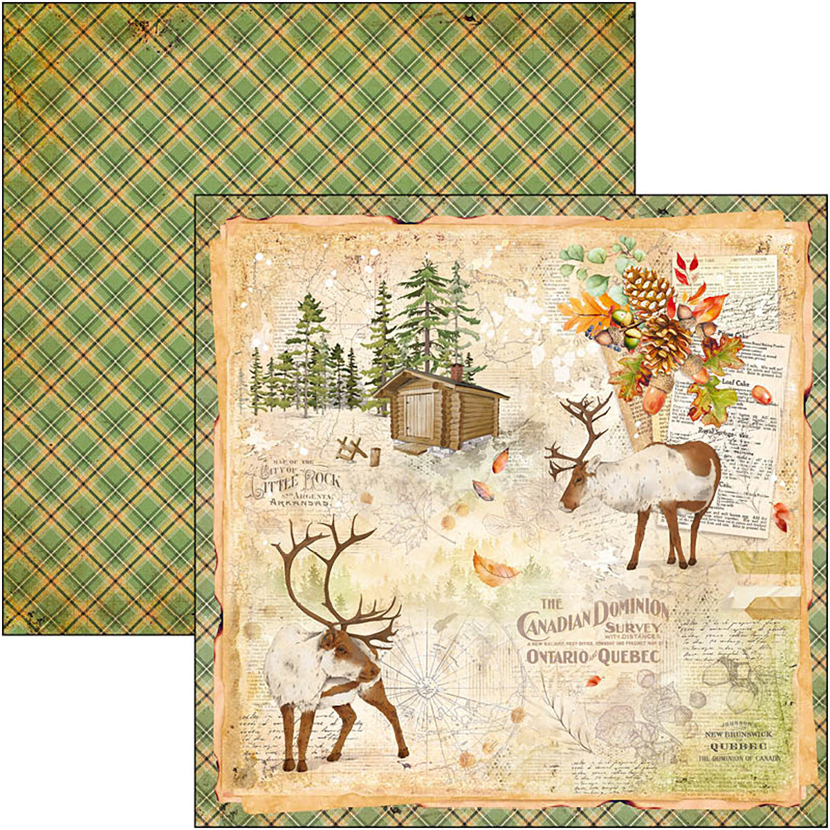 Ciao Bella Into The Wild Paper Pad 12