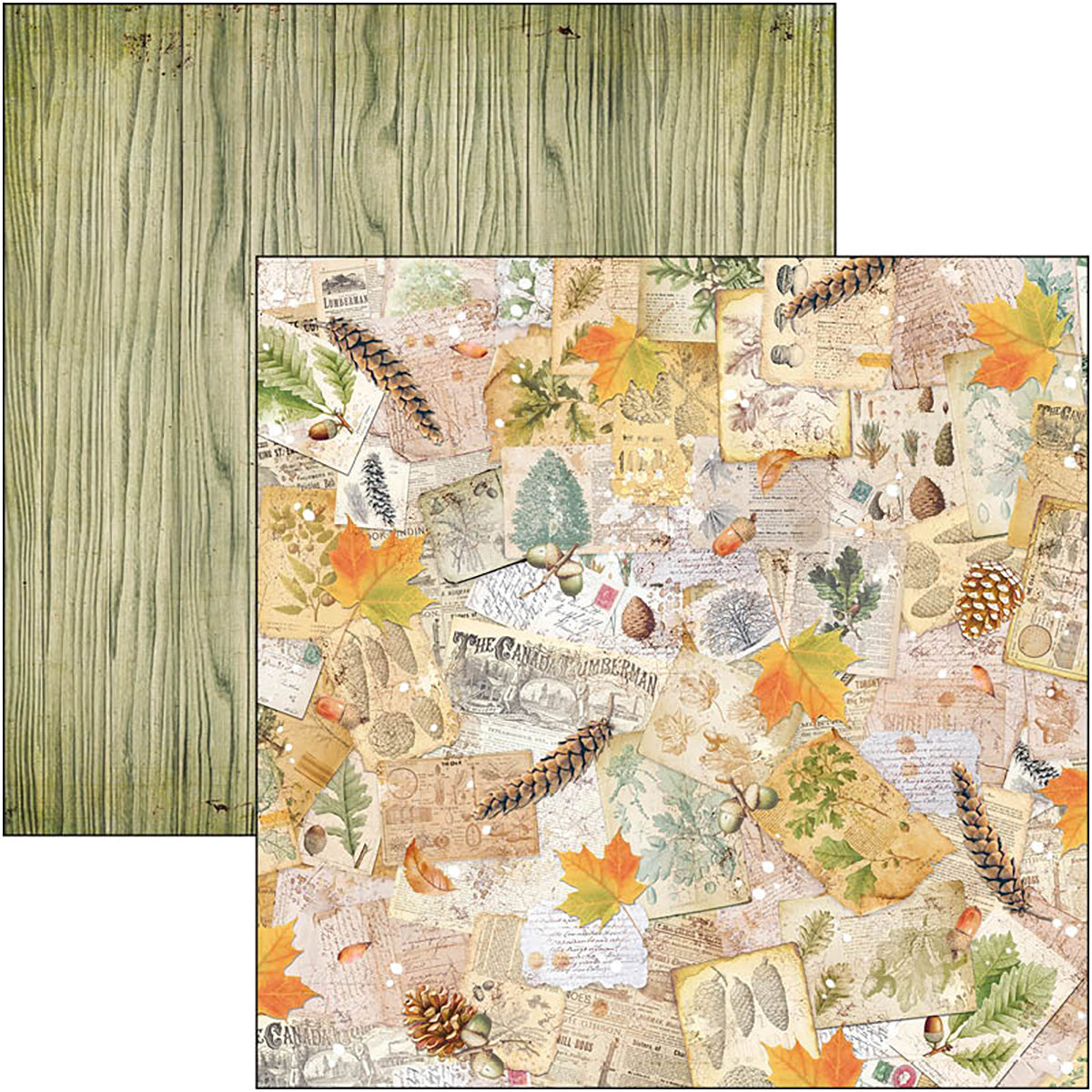 Ciao Bella Into The Wild Paper Pad 12